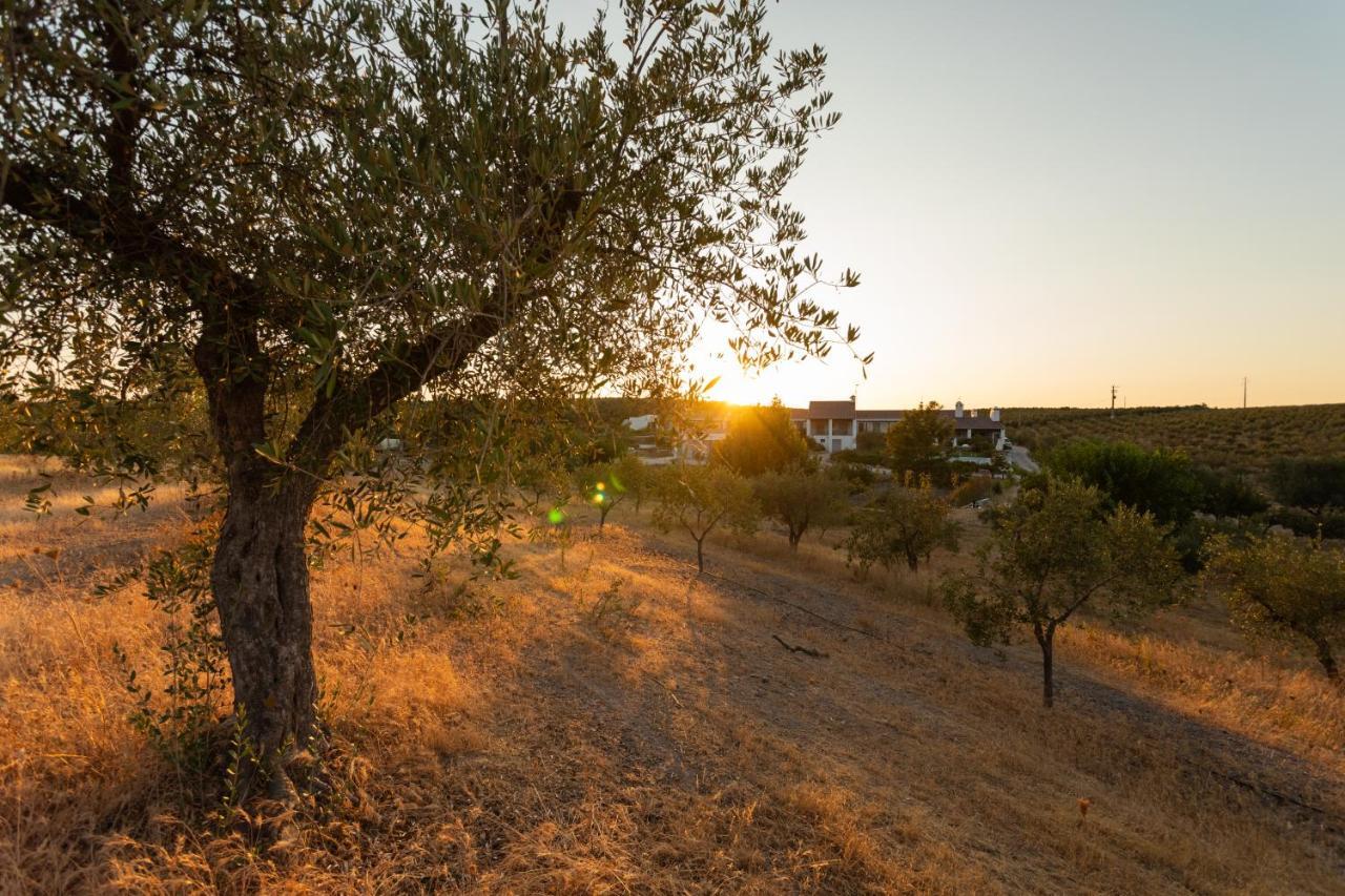 Casa rural Monte Da Estrela - Country House&spa Moura