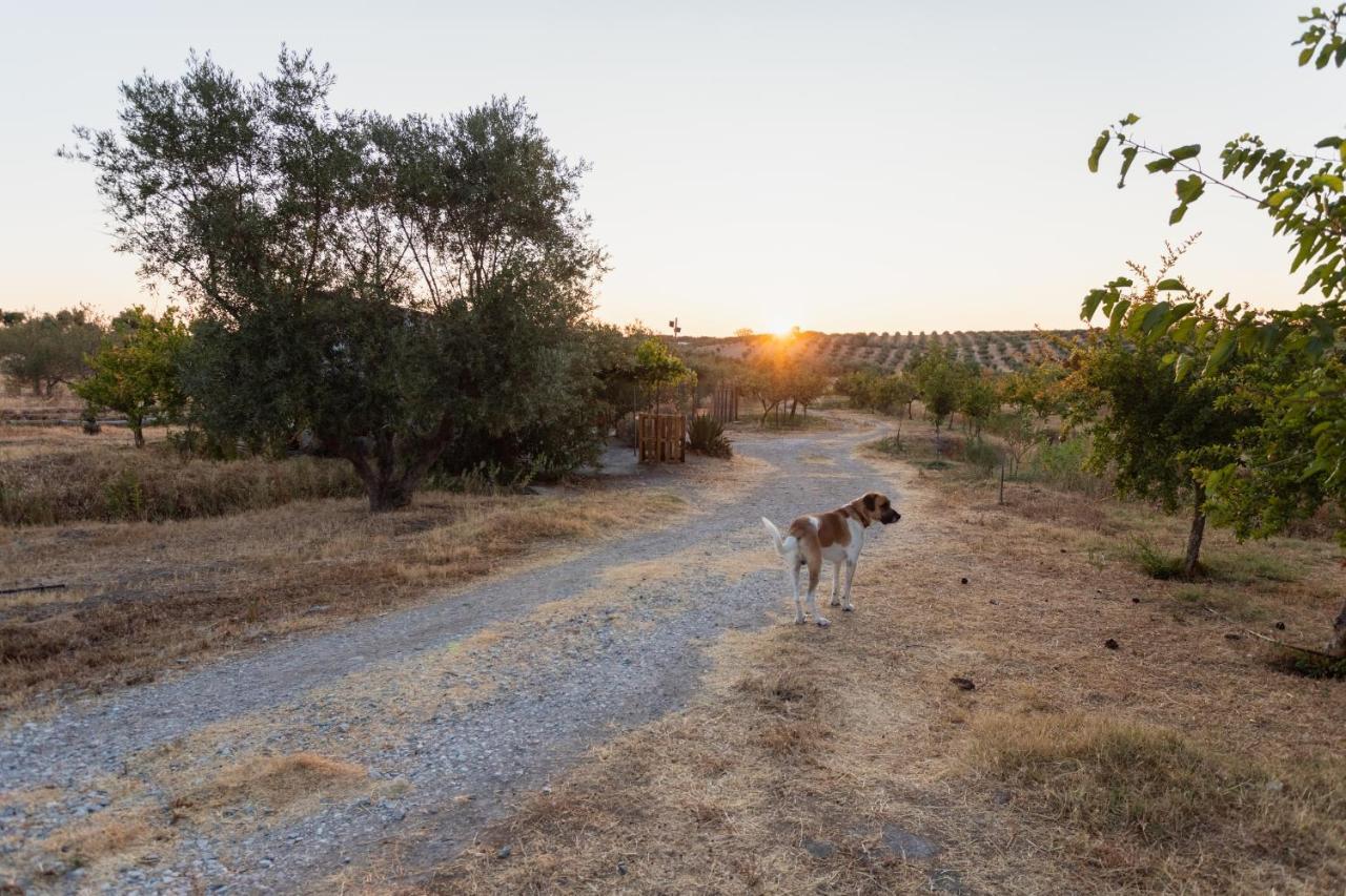 Monte Da Estrela - Country House&spa